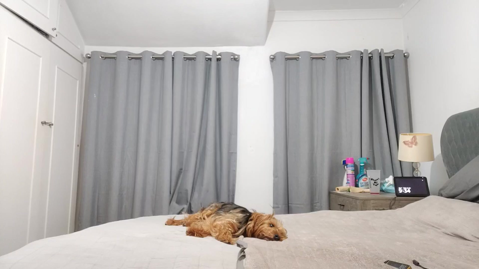 Gallery image thumbnail from RiaMartinez's myfreecams stream on, 01/26/2026, 23:33 image 1 of 20