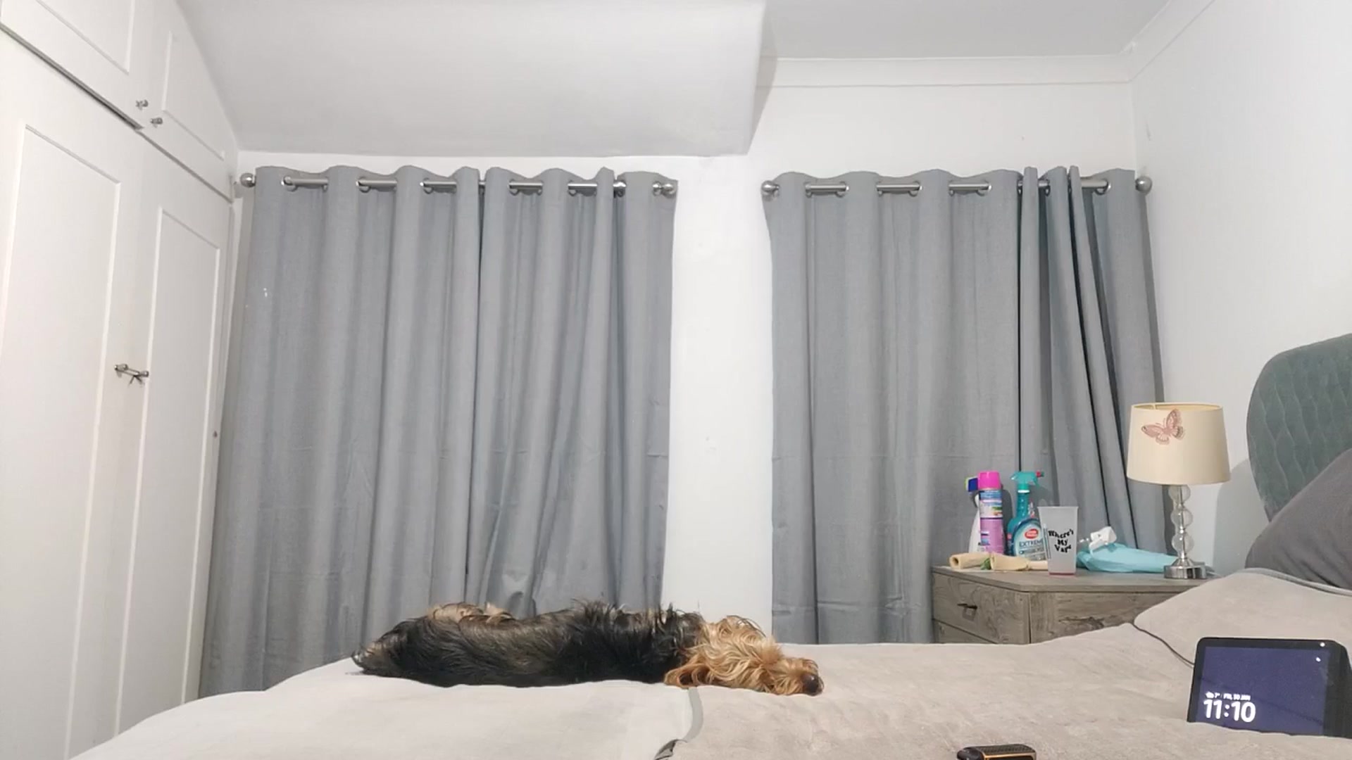 Gallery image thumbnail from RiaMartinez's myfreecams stream on, 01/30/2026, 23:38 image 9 of 20