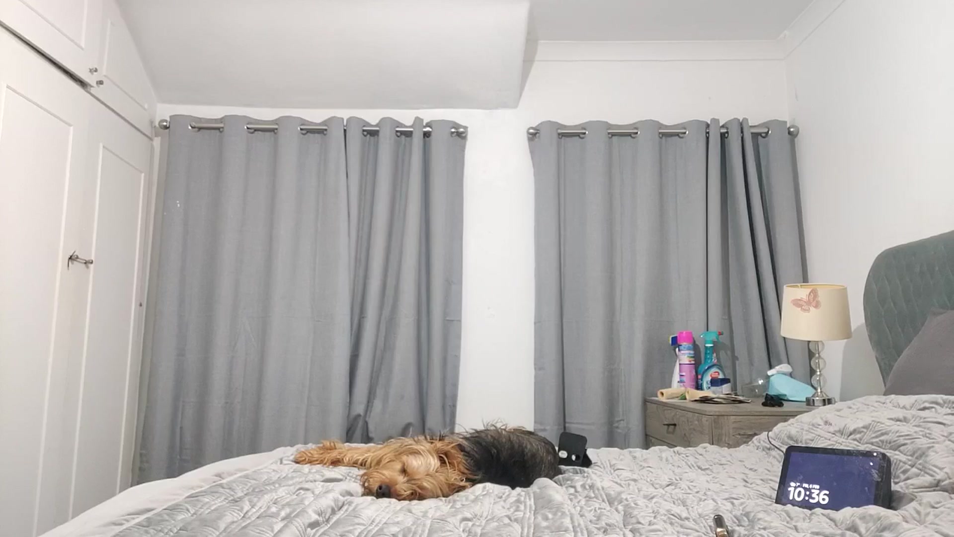 Gallery image thumbnail from RiaMartinez's myfreecams stream on, 02/06/2026, 23:24 image 11 of 20
