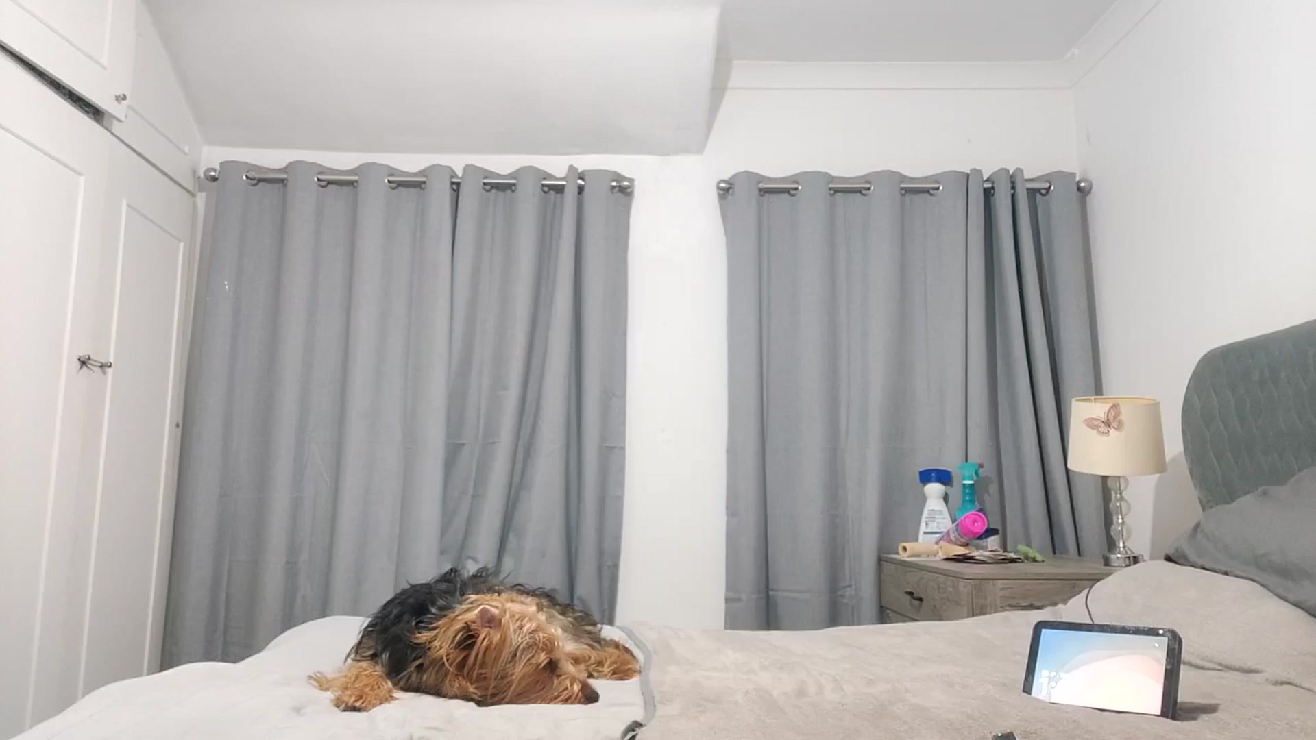 Gallery image thumbnail from RiaMartinez's myfreecams stream on, 02/19/2026, 04:34 image 4 of 20