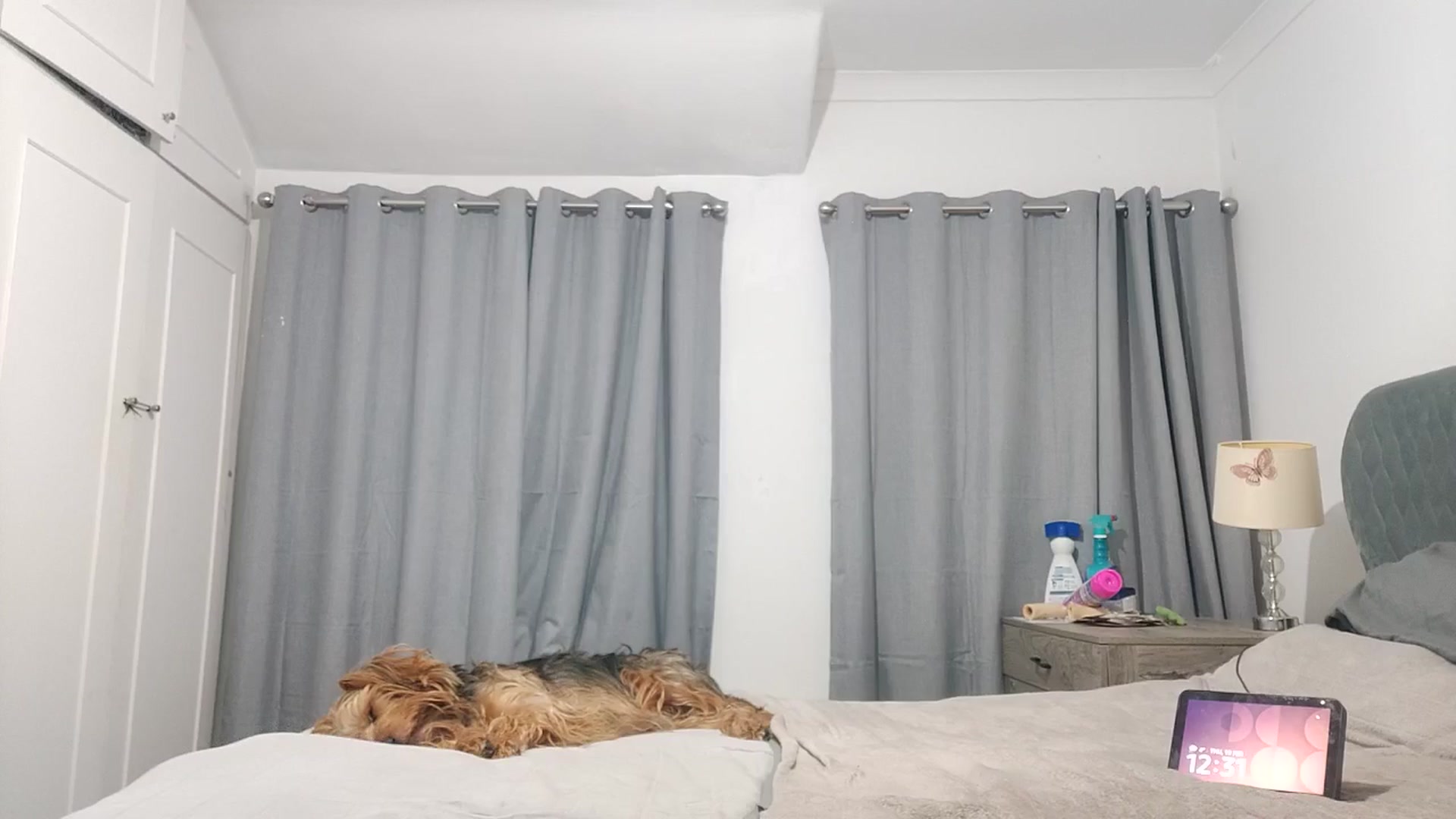 Gallery image thumbnail from RiaMartinez's myfreecams stream on, 02/19/2026, 04:34 image 1 of 20