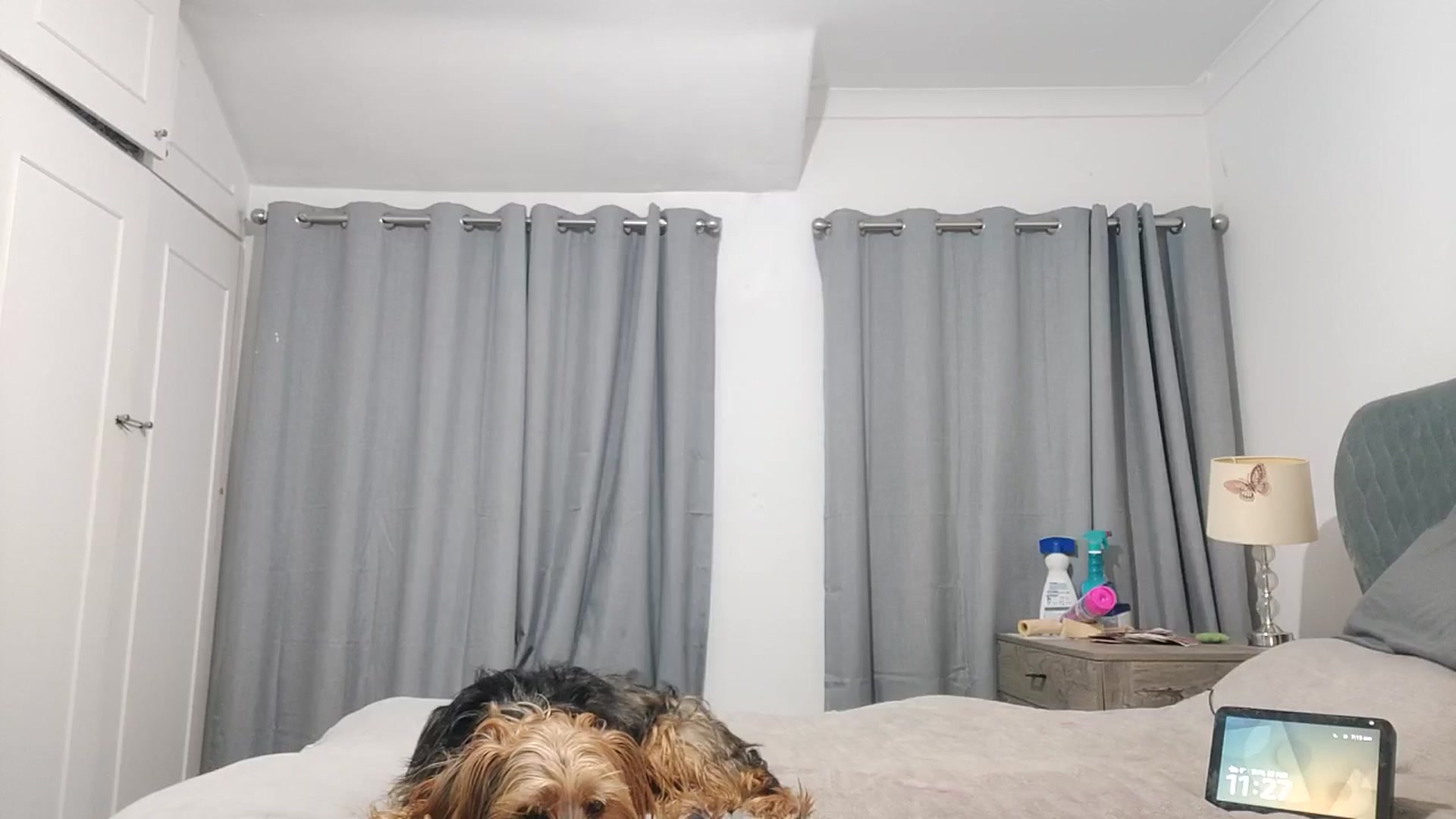 Gallery image thumbnail from RiaMartinez's myfreecams stream on, 02/22/2026, 23:36 image 8 of 20