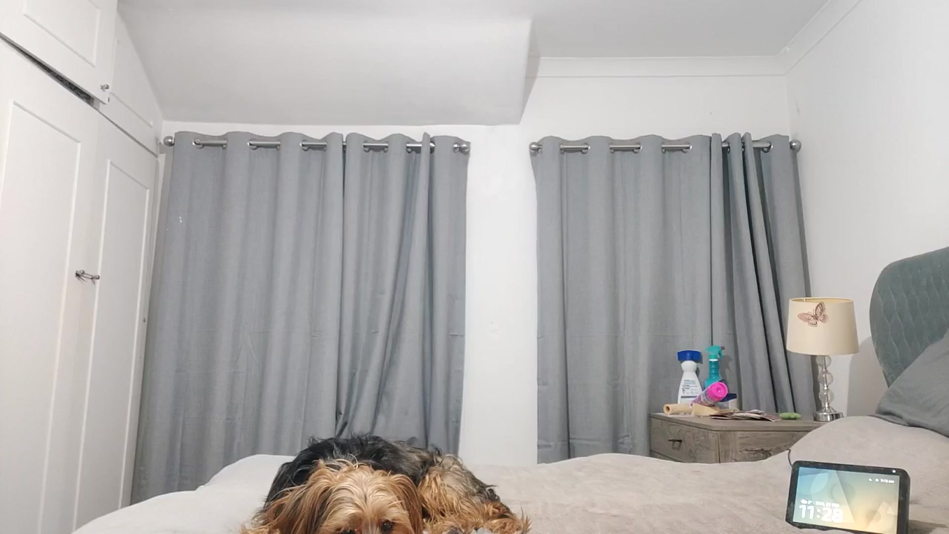 Gallery image thumbnail from RiaMartinez's myfreecams stream on, 02/22/2026, 23:36 image 9 of 20