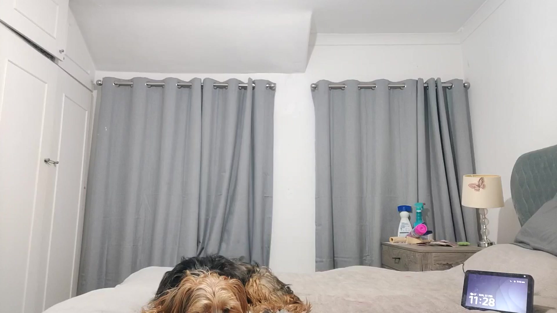 Gallery image thumbnail from RiaMartinez's myfreecams stream on, 02/22/2026, 23:36 image 10 of 20