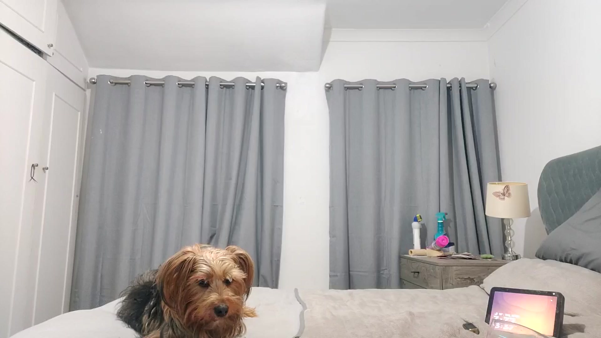Gallery image thumbnail from RiaMartinez's myfreecams stream on, 02/26/2026, 03:43 image 20 of 20