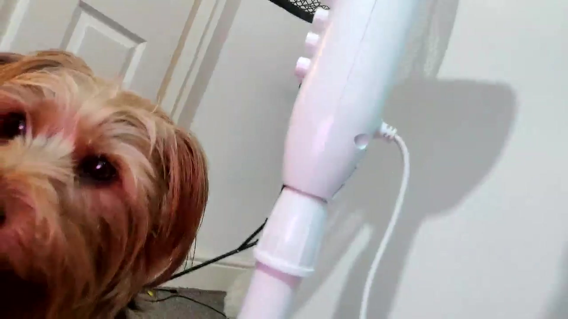 Gallery image thumbnail from RiaMartinez's myfreecams stream on, 03/02/2026, 12:46 image 10 of 20