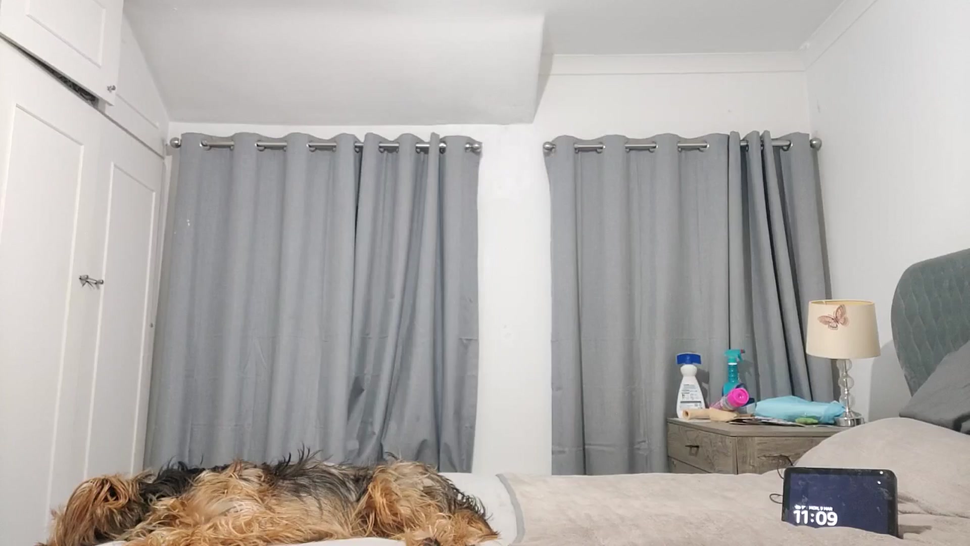 Gallery image thumbnail from RiaMartinez's myfreecams stream on, 03/09/2026, 23:46 image 12 of 20