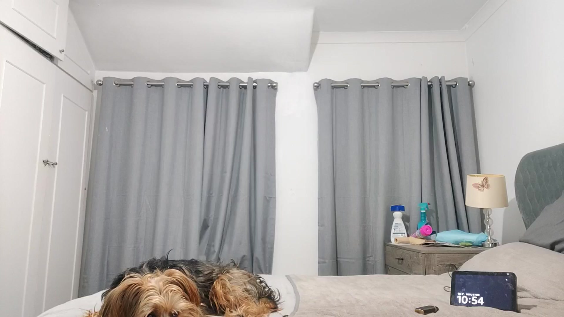 Gallery image thumbnail from RiaMartinez's myfreecams stream on, 03/09/2026, 23:46 image 8 of 20
