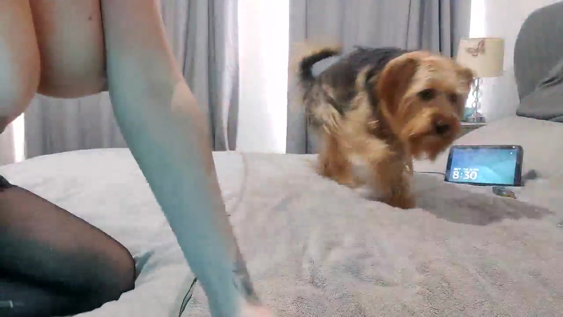 Gallery image thumbnail from RiaMartinez's myfreecams stream on, 03/10/2026, 09:32 image 7 of 20