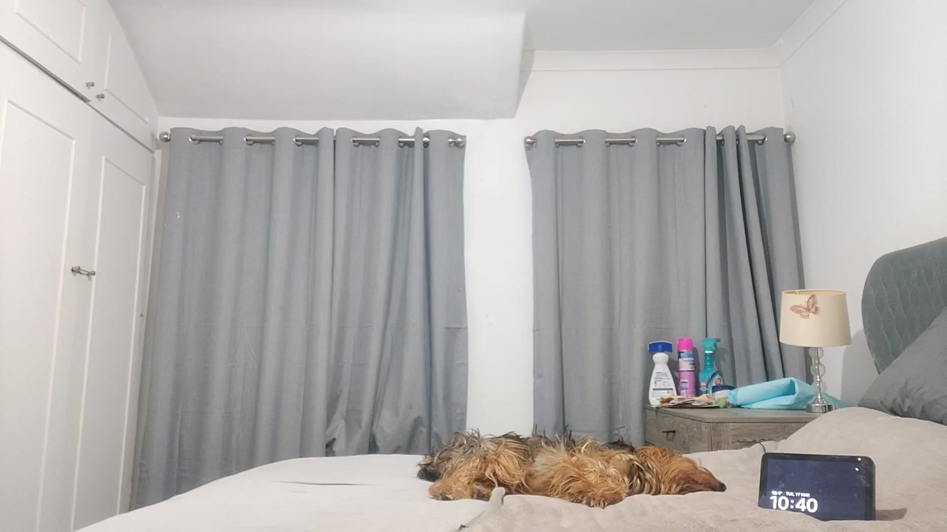 Gallery image thumbnail from RiaMartinez's myfreecams stream on, 03/18/2026, 24:35 image 6 of 20