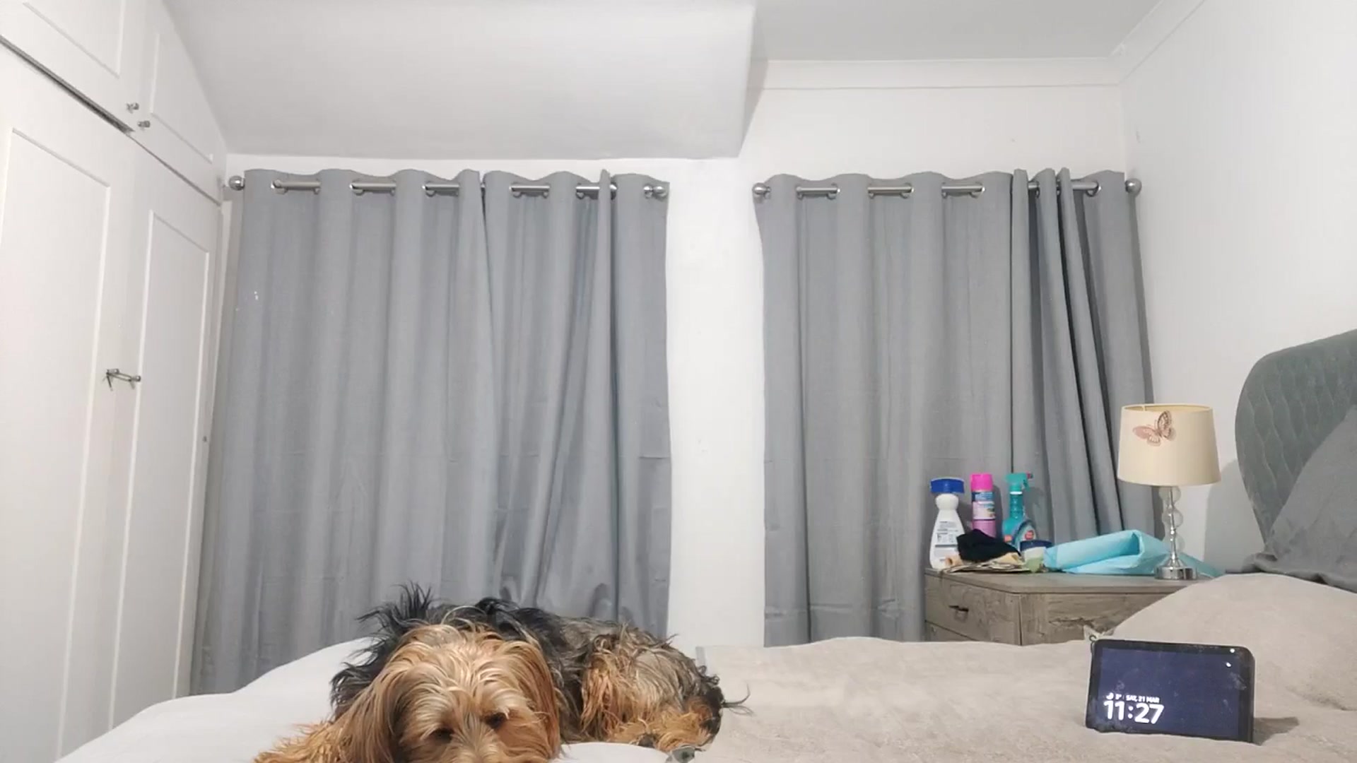 Gallery image thumbnail from RiaMartinez's myfreecams stream on, 03/22/2026, 24:02 image 12 of 20