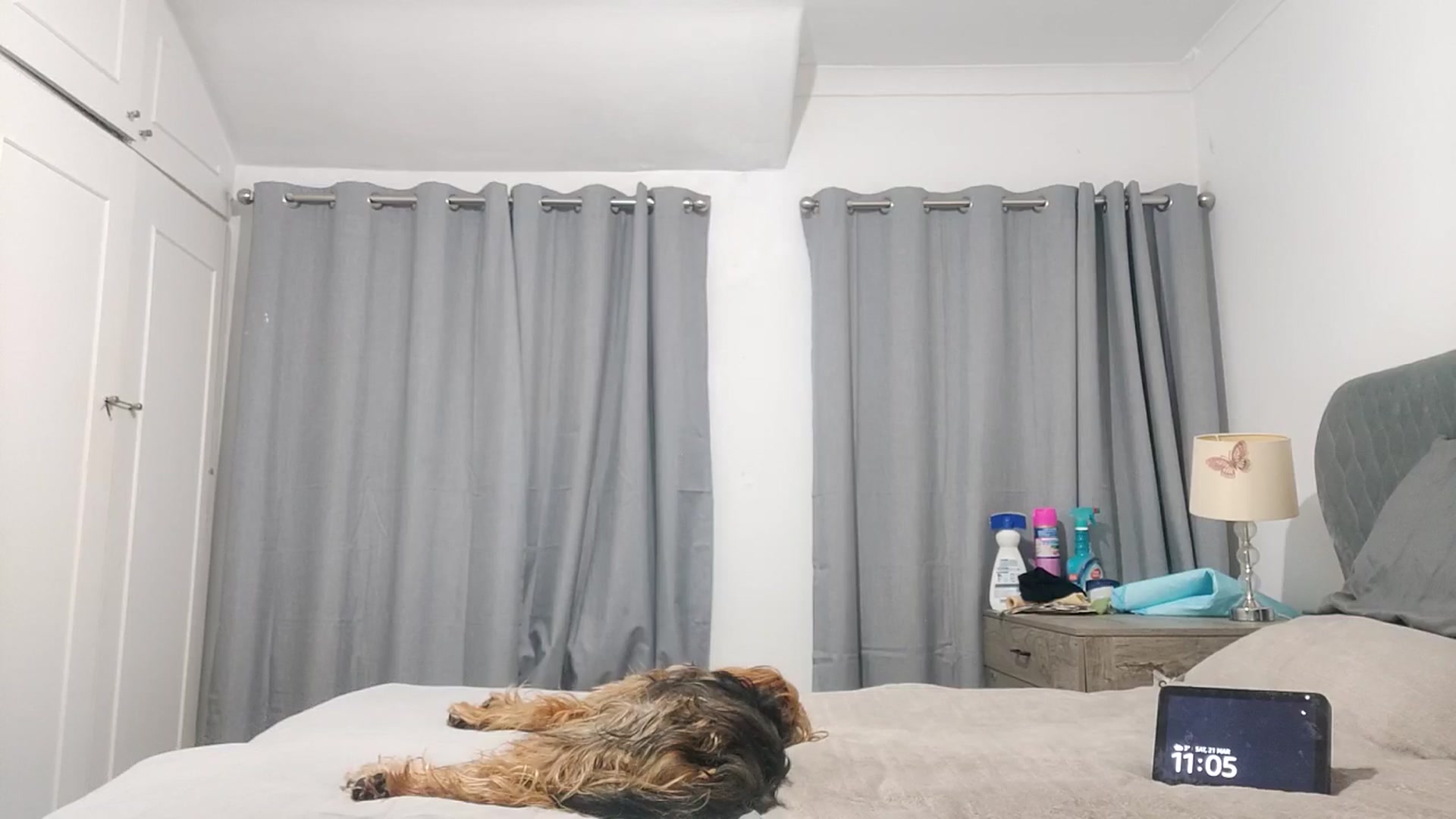 Gallery image thumbnail from RiaMartinez's myfreecams stream on, 03/22/2026, 24:02 image 8 of 20