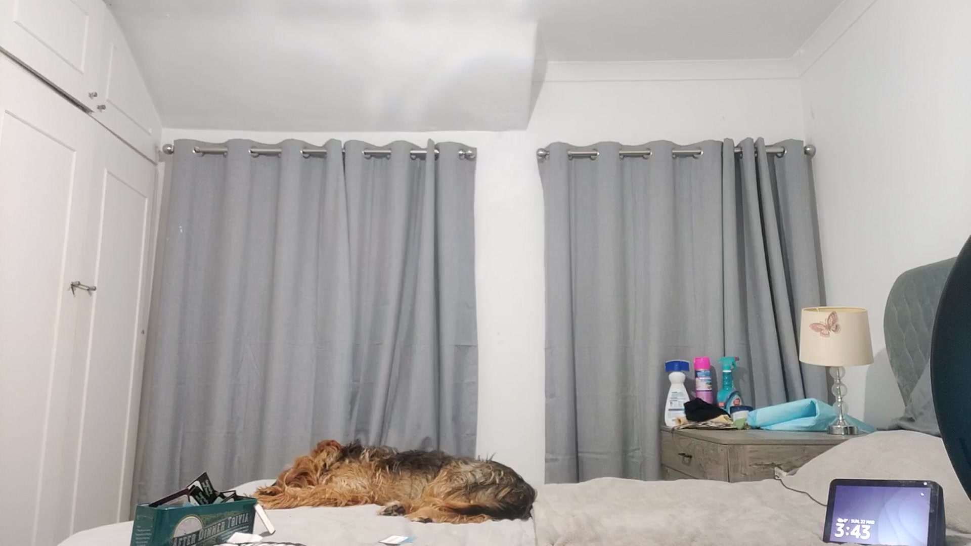 Gallery image thumbnail from RiaMartinez's myfreecams stream on, 03/22/2026, 04:17 image 1 of 20