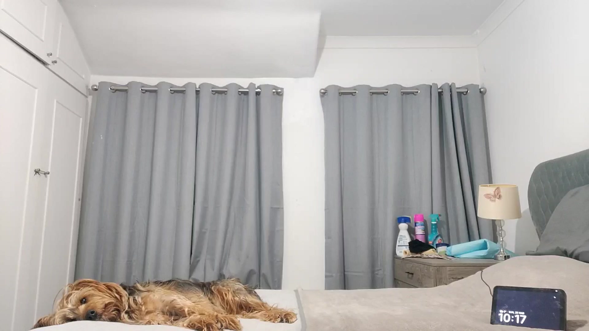 Gallery image thumbnail from RiaMartinez's myfreecams stream on, 03/29/2026, 23:42 image 4 of 20