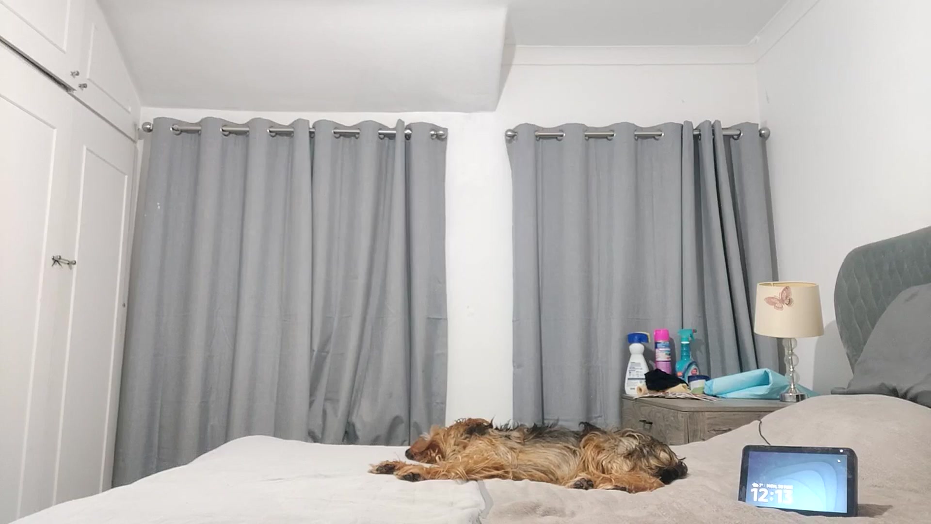 Gallery image thumbnail from RiaMartinez's myfreecams stream on, 03/29/2026, 23:42 image 18 of 20