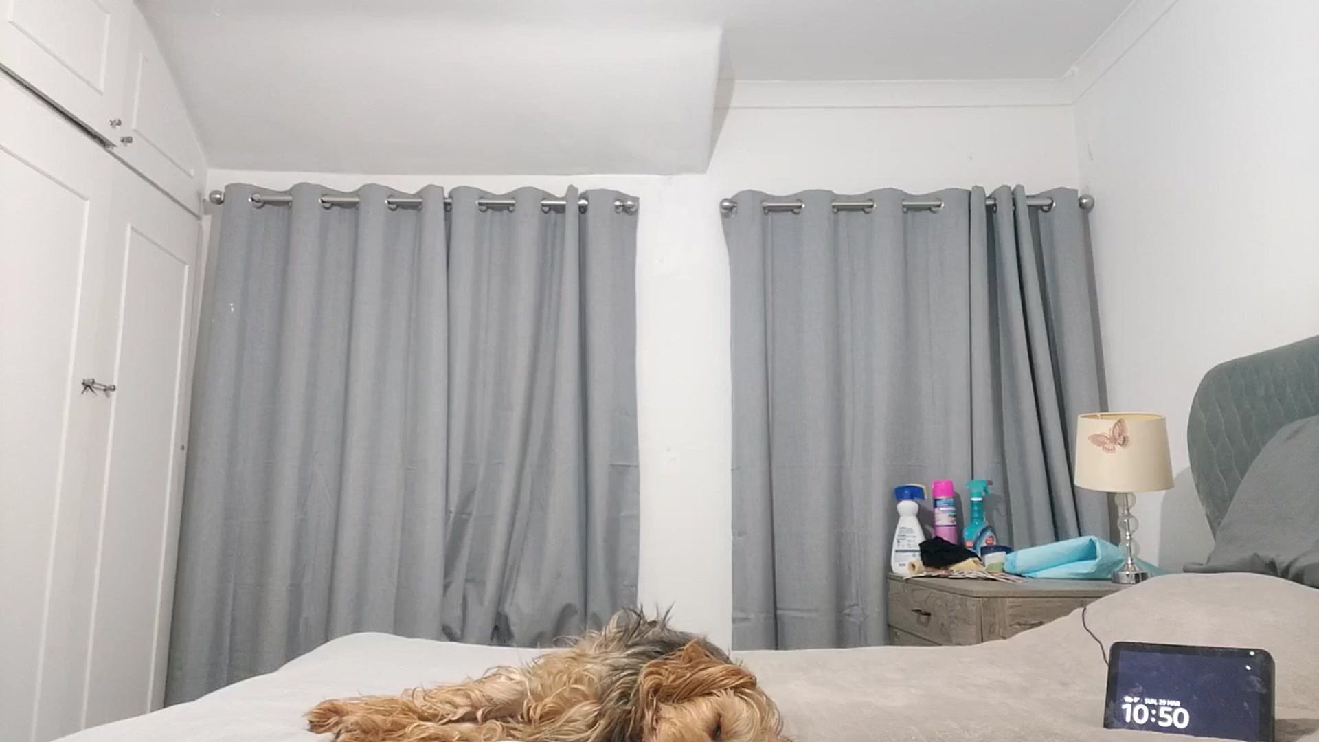 Gallery image thumbnail from RiaMartinez's myfreecams stream on, 03/29/2026, 23:42 image 8 of 20