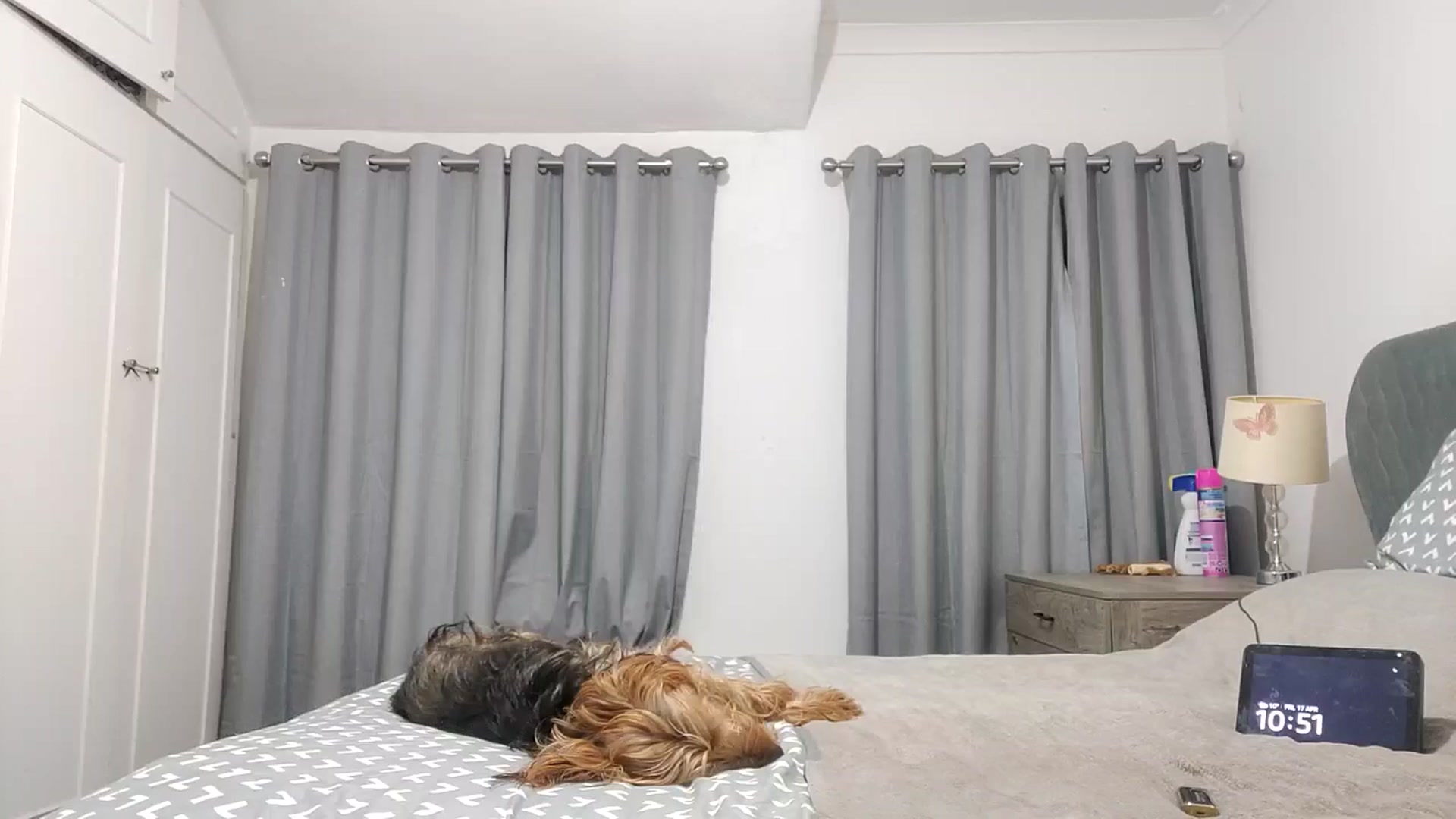 Gallery image thumbnail from RiaMartinez's myfreecams stream on, 04/17/2026, 22:36 image 1 of 20