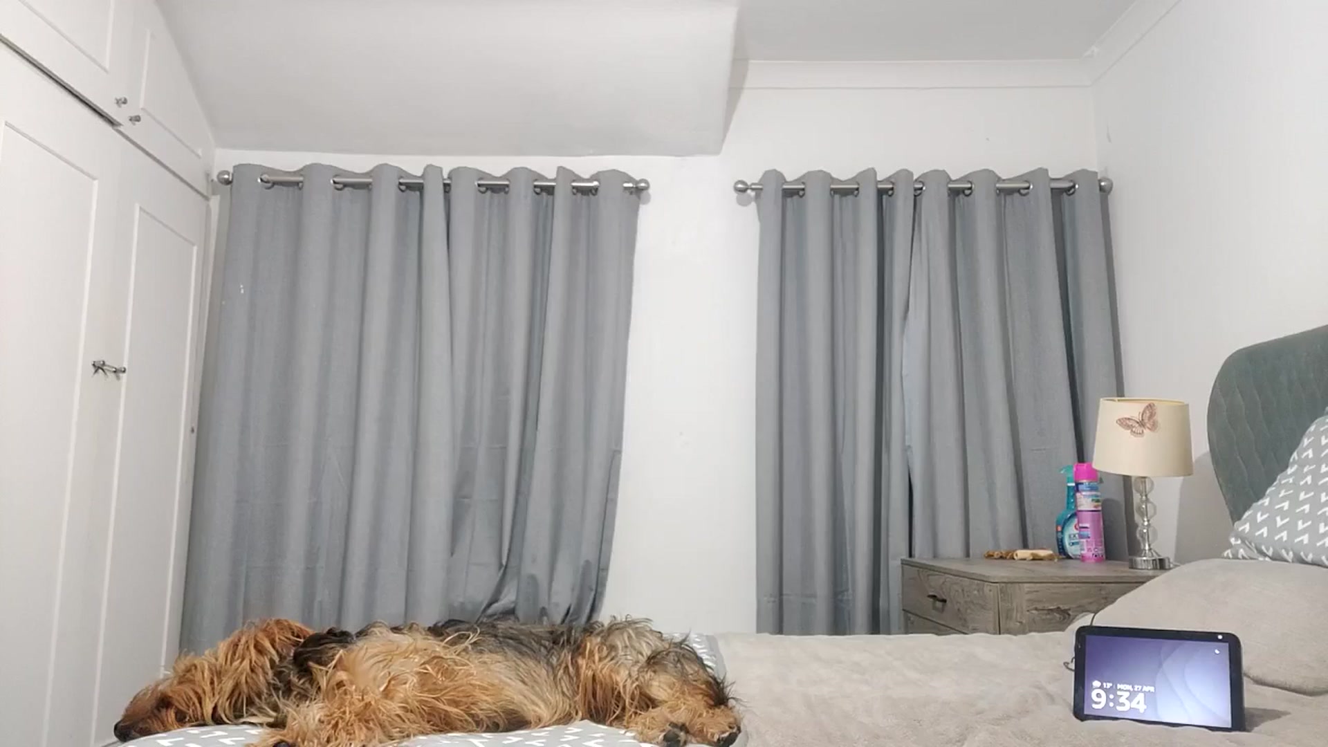 Gallery image thumbnail from RiaMartinez's myfreecams stream on, 04/28/2026, 24:05 image 1 of 20
