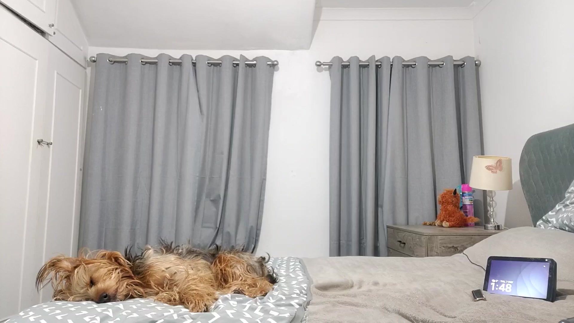 Gallery image thumbnail from RiaMartinez's myfreecams stream on, 05/07/2026, 01:21 image 7 of 20