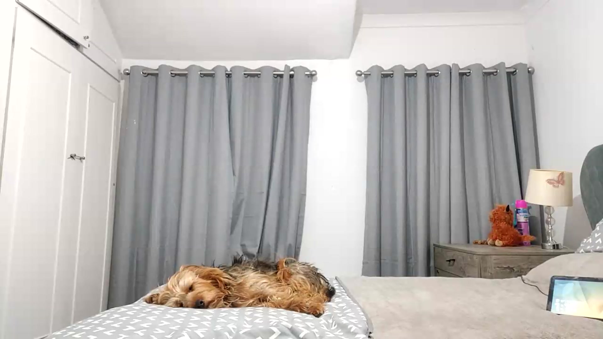 Gallery image thumbnail from RiaMartinez's myfreecams stream on, 05/19/2026, 24:59 image 6 of 20