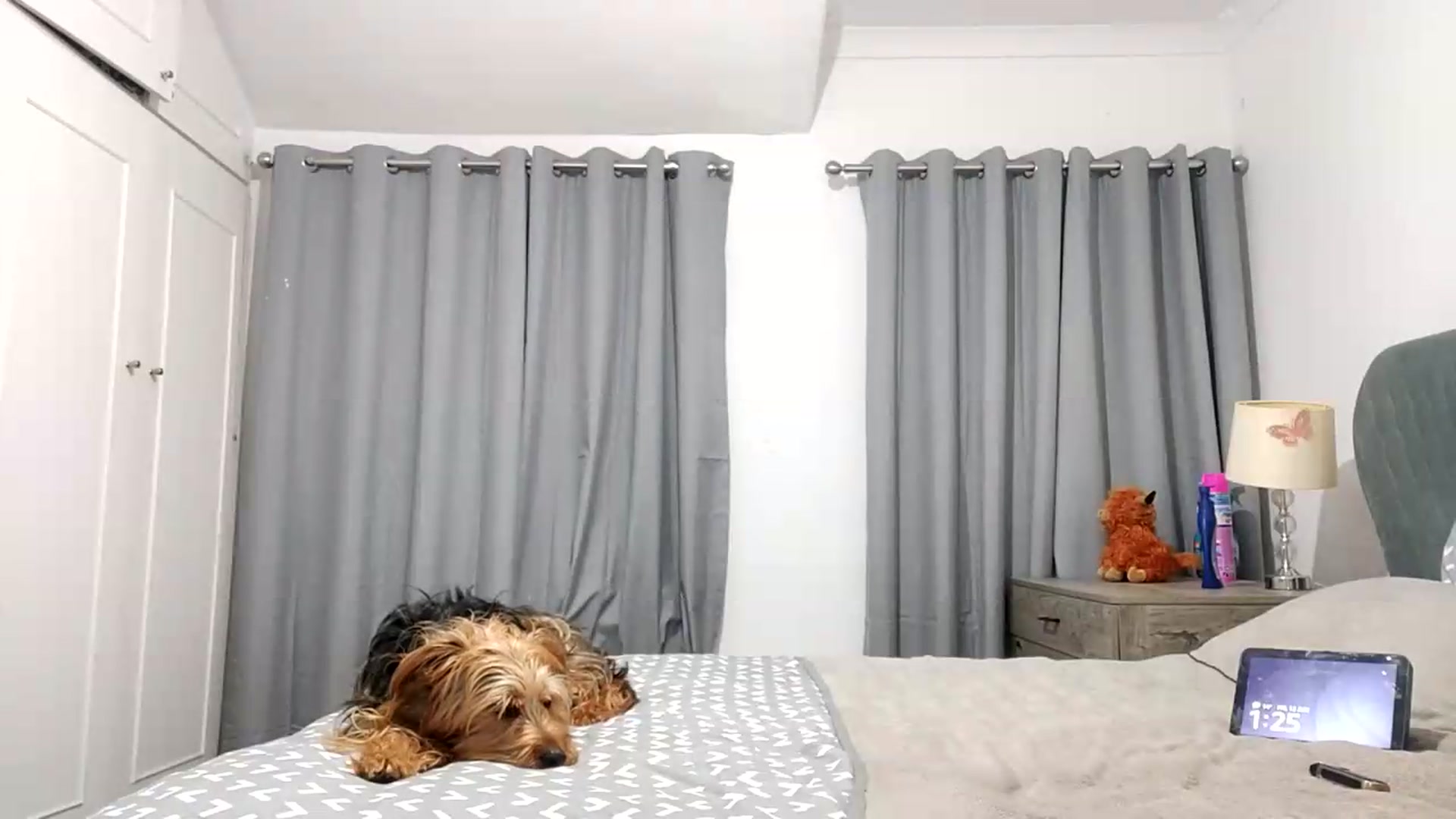 Gallery image thumbnail from RiaMartinez's myfreecams stream on, 06/12/2026, 24:43 image 13 of 20