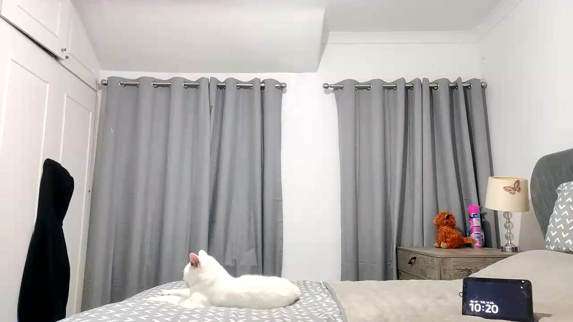 Gallery image thumbnail from RiaMartinez's myfreecams stream on, 07/14/2026, 21:52 image 8 of 20