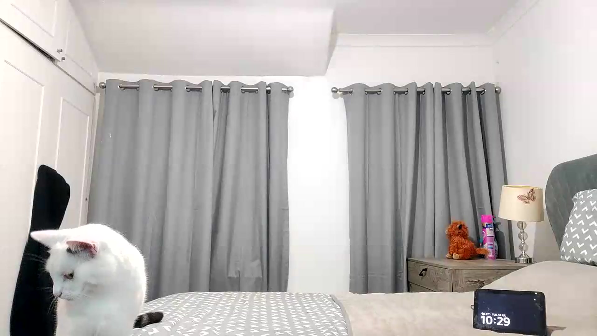 Gallery image thumbnail from RiaMartinez's myfreecams stream on, 07/14/2026, 21:52 image 12 of 20