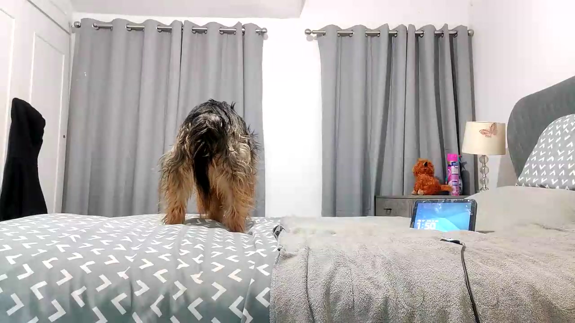 Gallery image thumbnail from RiaMartinez's myfreecams stream on, 07/18/2026, 24:54 image 20 of 20