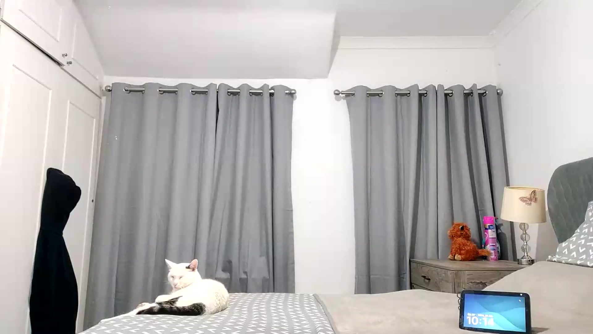 Gallery image thumbnail from RiaMartinez's myfreecams stream on, 07/20/2026, 22:32 image 7 of 20
