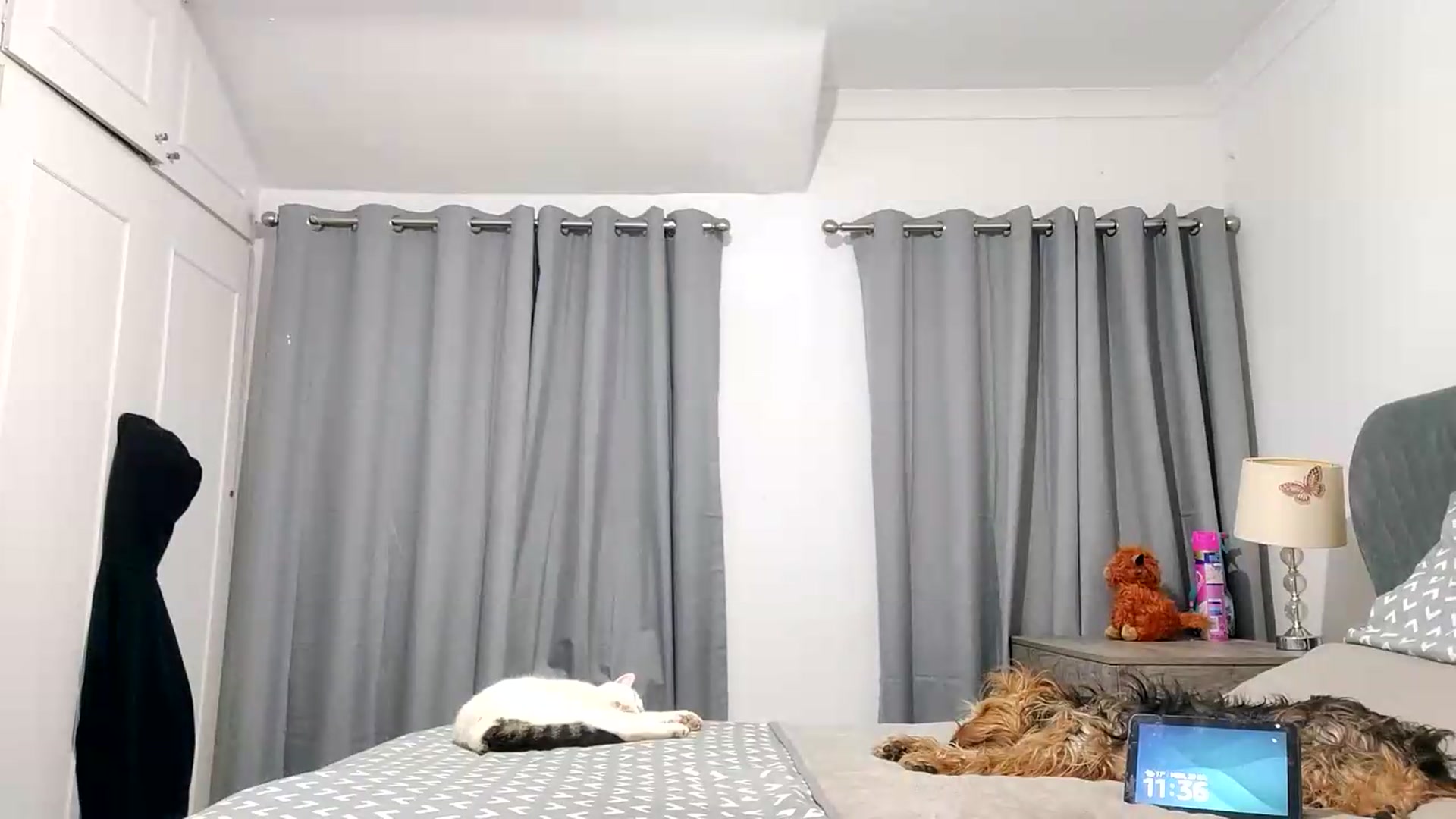 Gallery image thumbnail from RiaMartinez's myfreecams stream on, 07/20/2026, 22:41 image 12 of 20