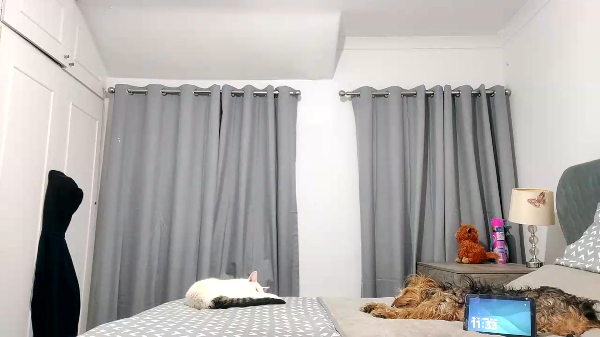 Gallery image thumbnail from RiaMartinez's myfreecams stream on, 07/20/2026, 22:41 image 7 of 20