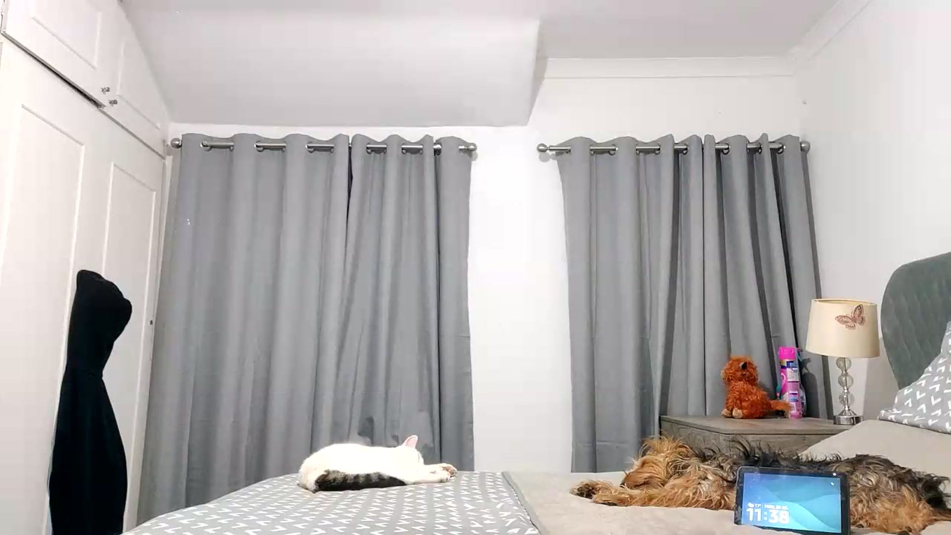 Gallery image thumbnail from RiaMartinez's myfreecams stream on, 07/20/2026, 22:41 image 16 of 20
