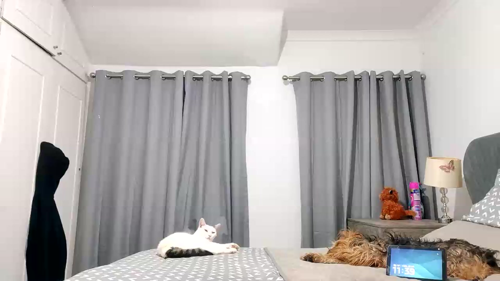 Gallery image thumbnail from RiaMartinez's myfreecams stream on, 07/20/2026, 22:41 image 19 of 20