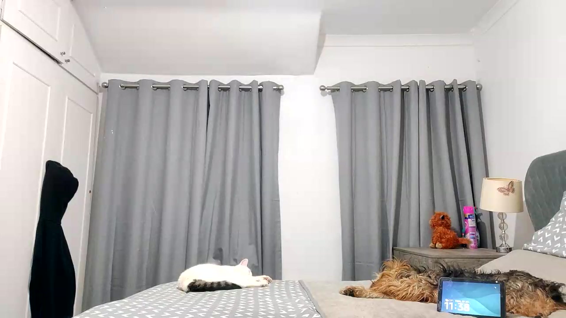 Gallery image thumbnail from RiaMartinez's myfreecams stream on, 07/20/2026, 22:41 image 17 of 20