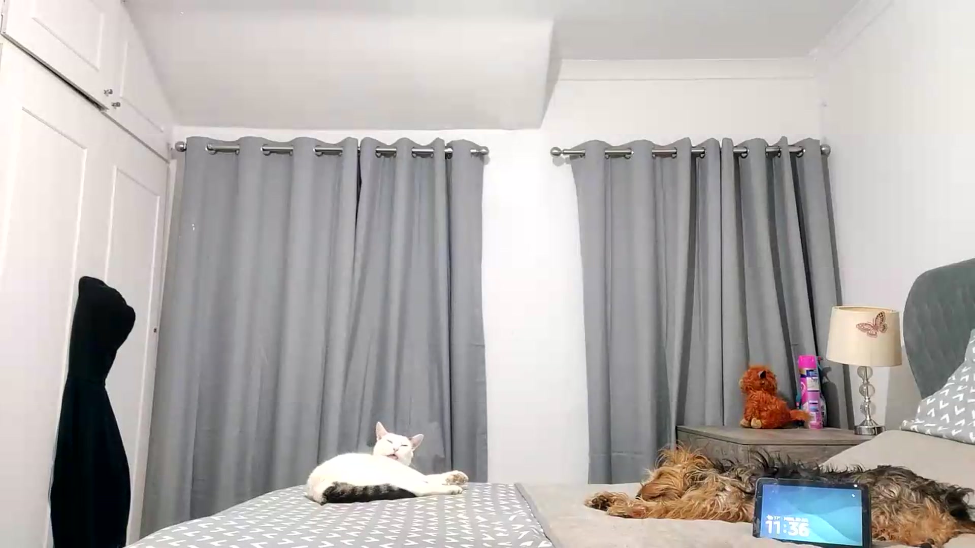 Gallery image thumbnail from RiaMartinez's myfreecams stream on, 07/20/2026, 22:41 image 13 of 20