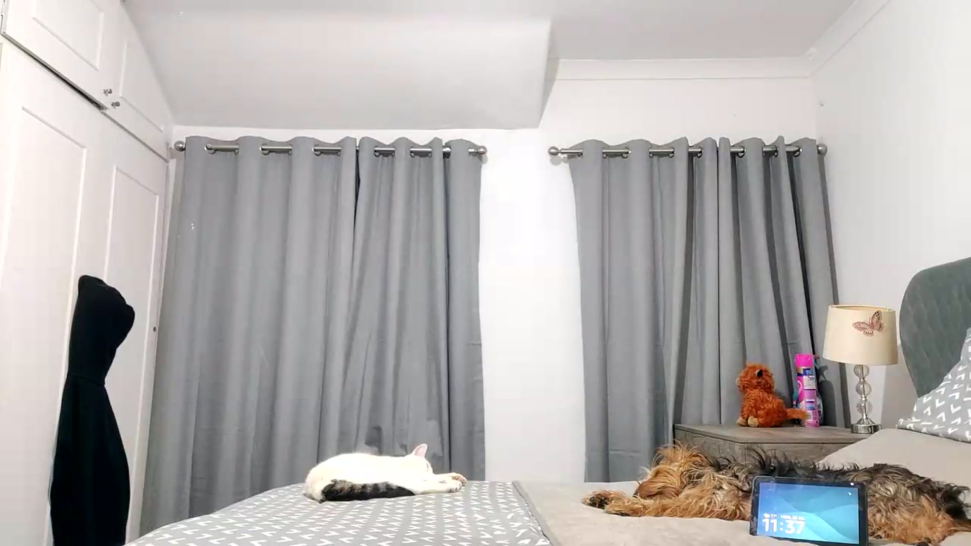 Gallery image thumbnail from RiaMartinez's myfreecams stream on, 07/20/2026, 22:41 image 15 of 20