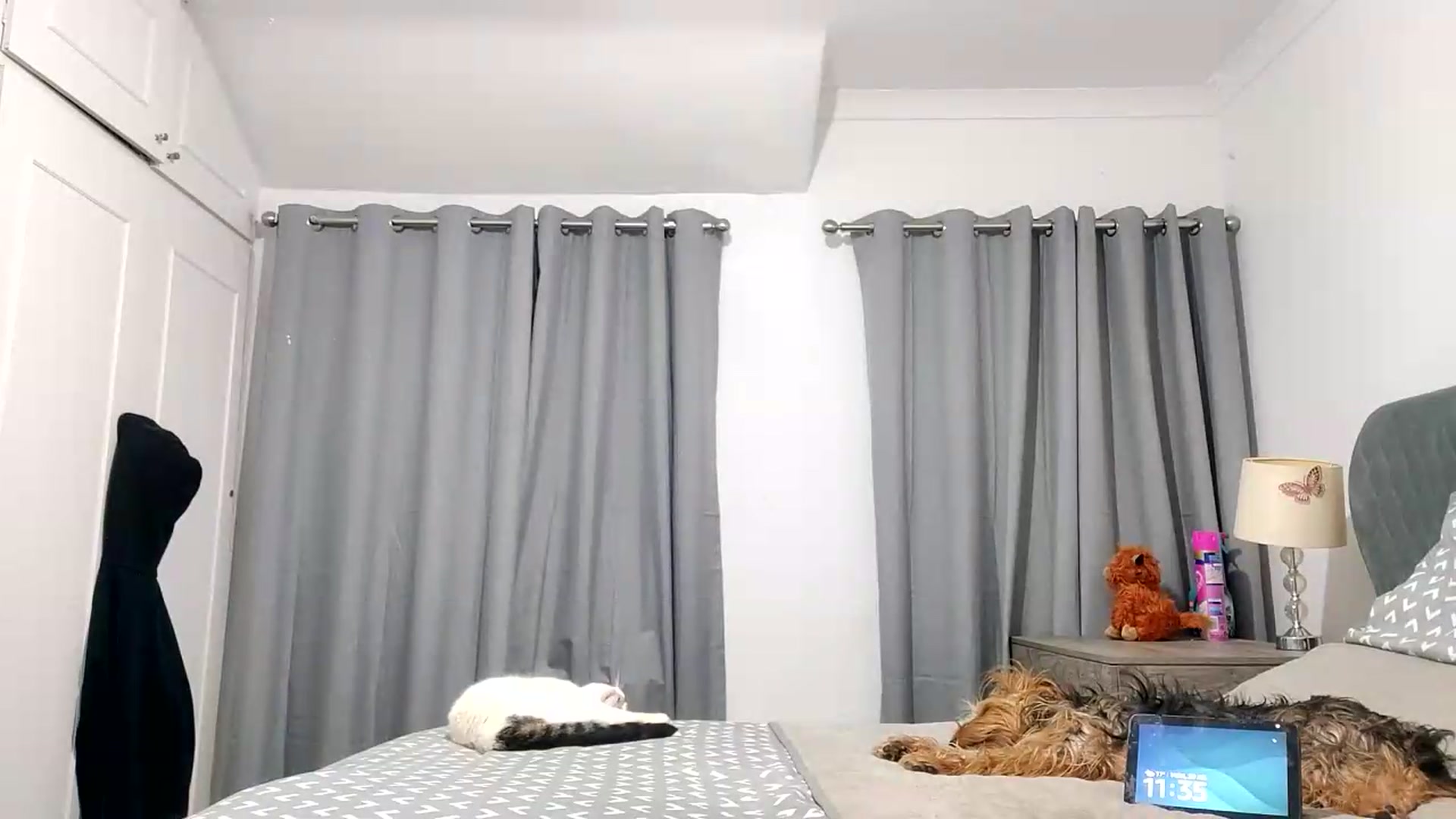 Gallery image thumbnail from RiaMartinez's myfreecams stream on, 07/20/2026, 22:41 image 11 of 20