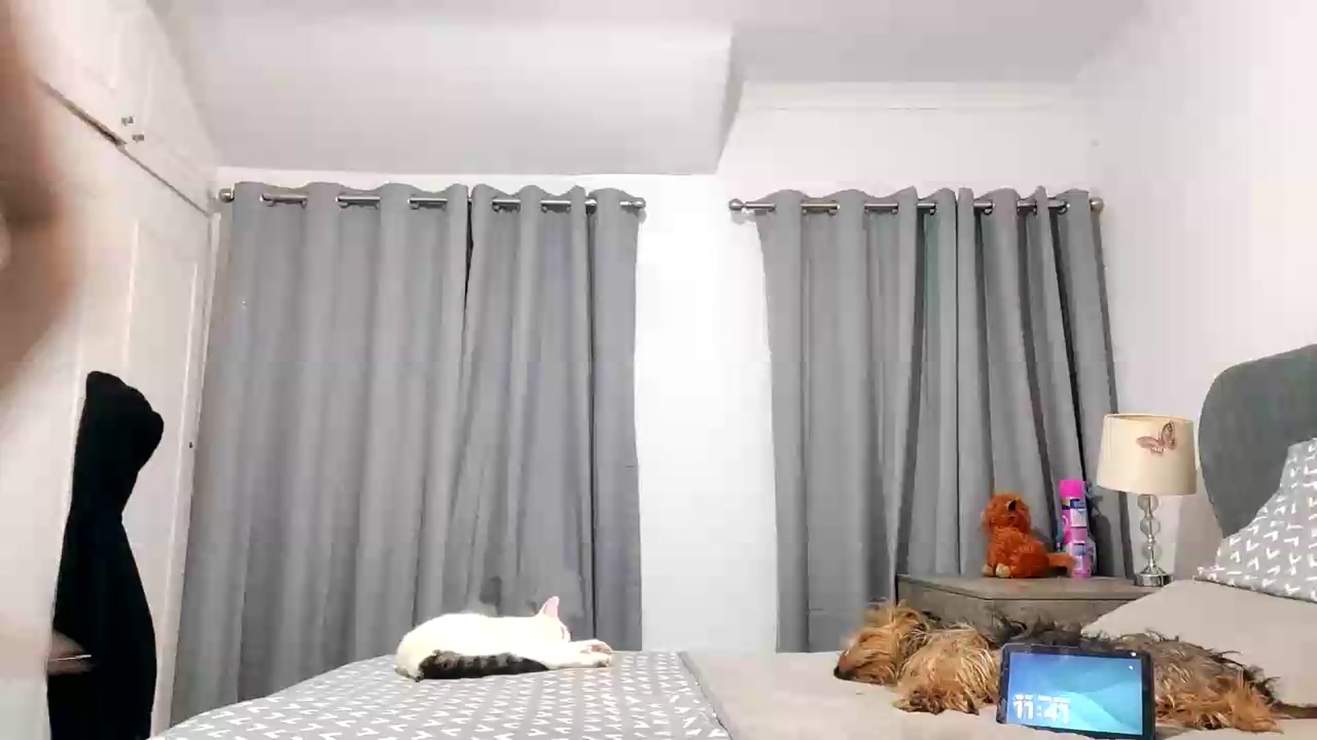 Gallery image thumbnail from RiaMartinez's myfreecams stream on, 07/20/2026, 23:05 image 1 of 20