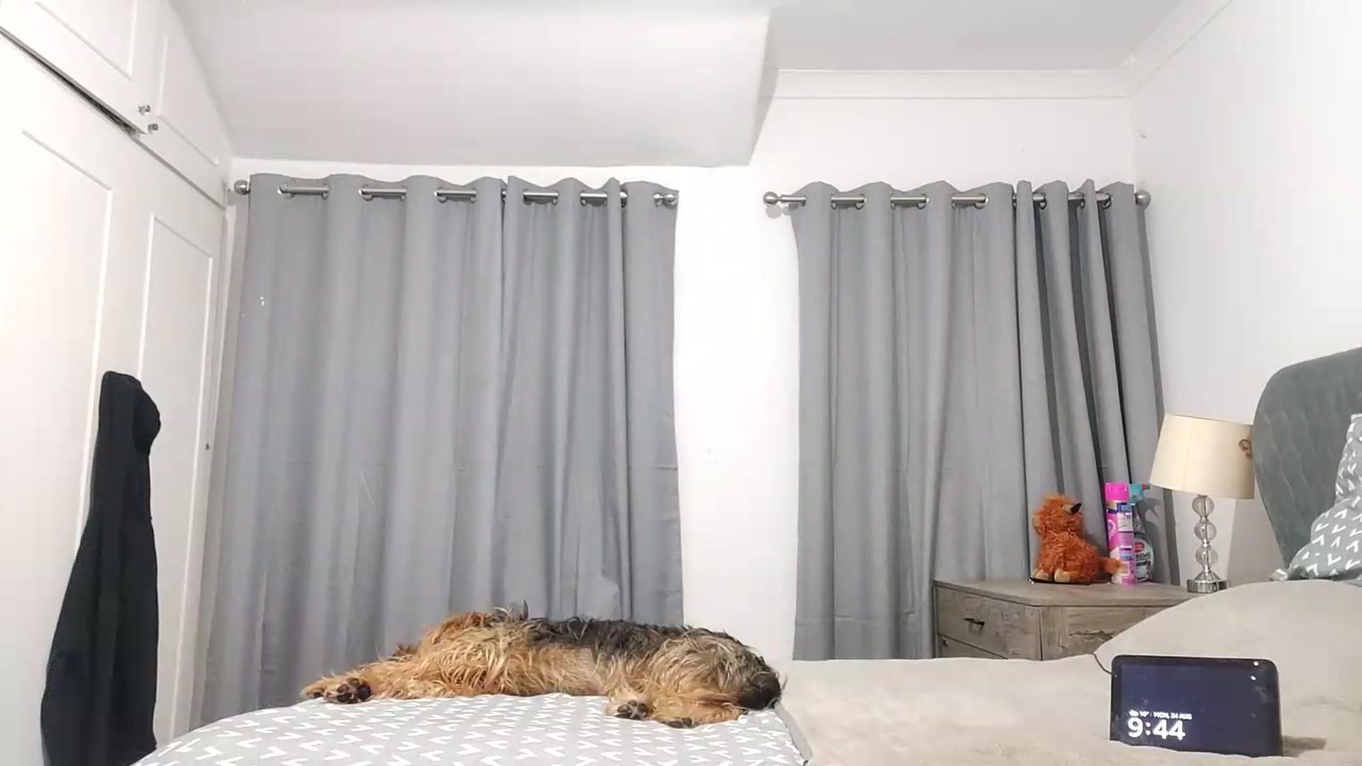 Gallery image thumbnail from RiaMartinez's myfreecams stream on, 08/24/2026, 20:48 image 16 of 20