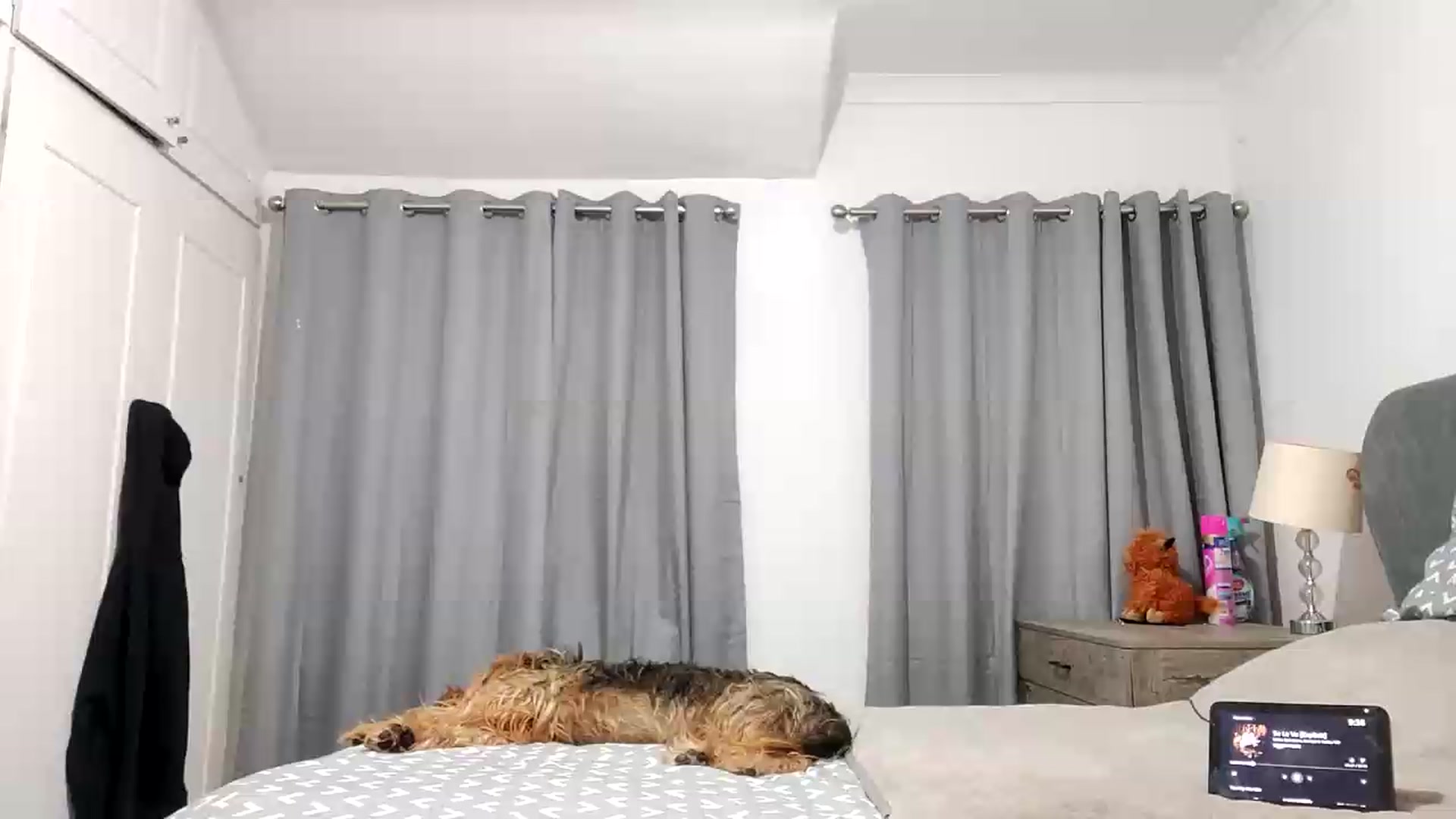 Gallery image thumbnail from RiaMartinez's myfreecams stream on, 08/24/2026, 20:48 image 1 of 20