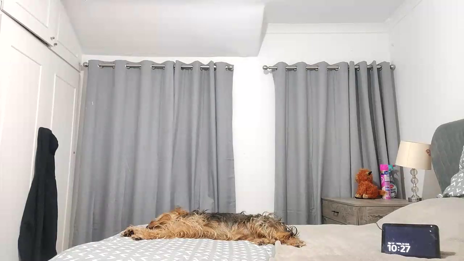 Gallery image thumbnail from RiaMartinez's myfreecams stream on, 08/25/2026, 24:05 image 4 of 20