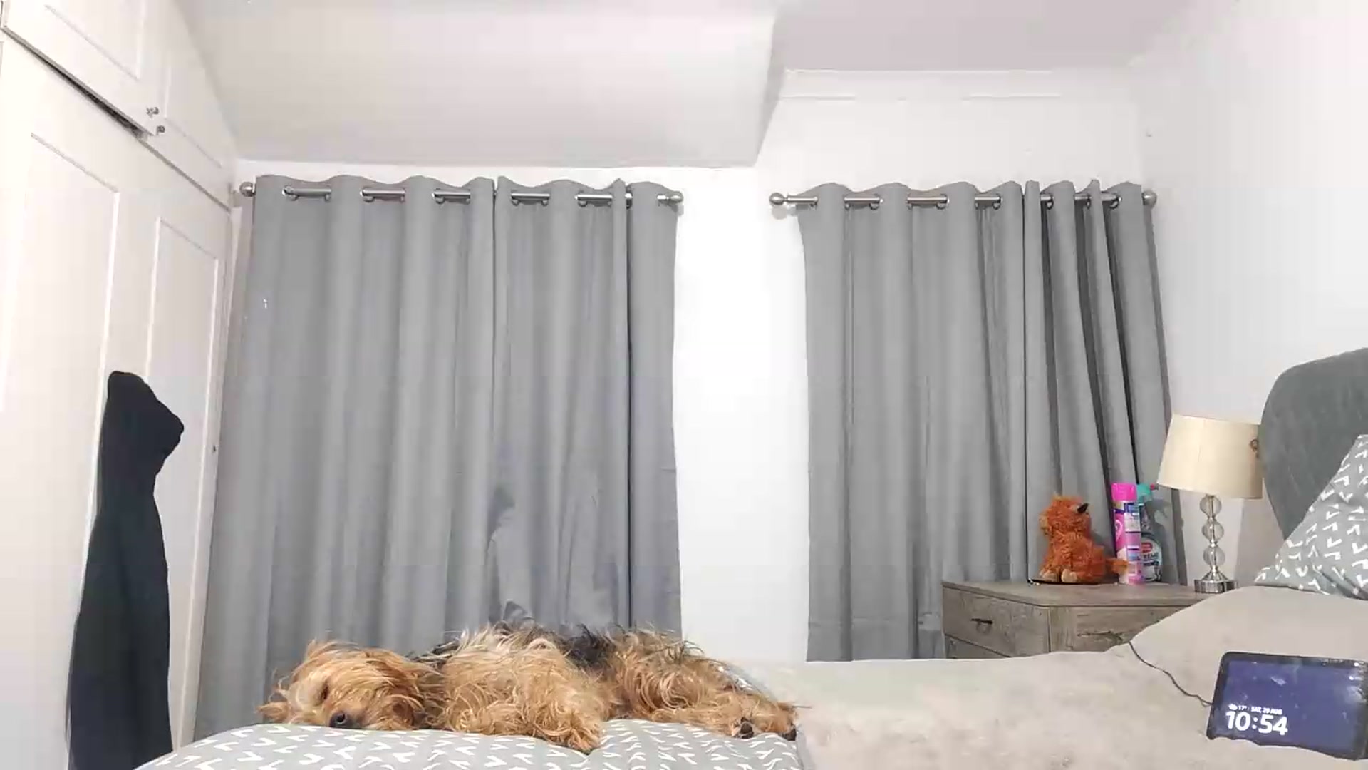Gallery image thumbnail from RiaMartinez's myfreecams stream on, 08/29/2026, 23:00 image 10 of 20
