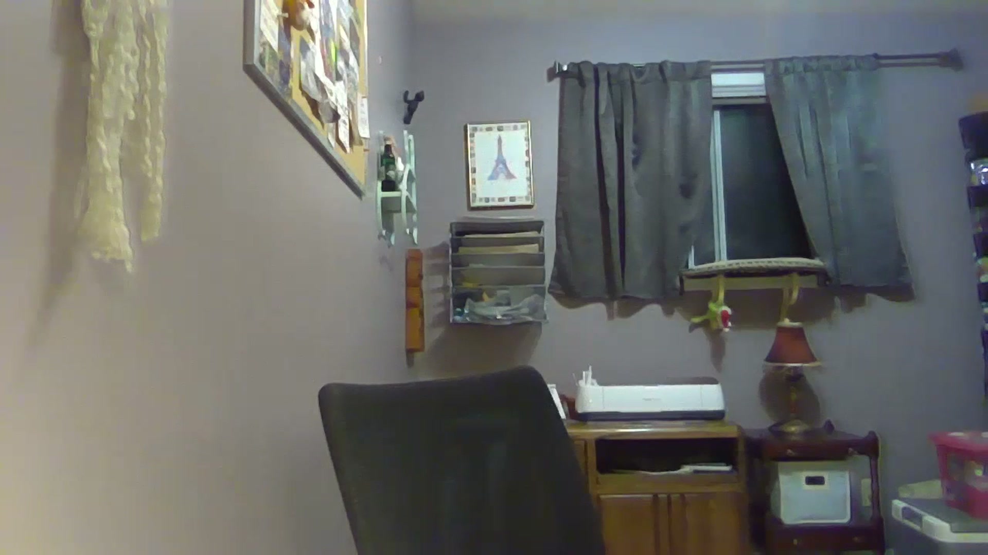 Gallery image thumbnail from RileyRousseau's myfreecams stream on, 07/17/2023, 05:07 image 11 of 20