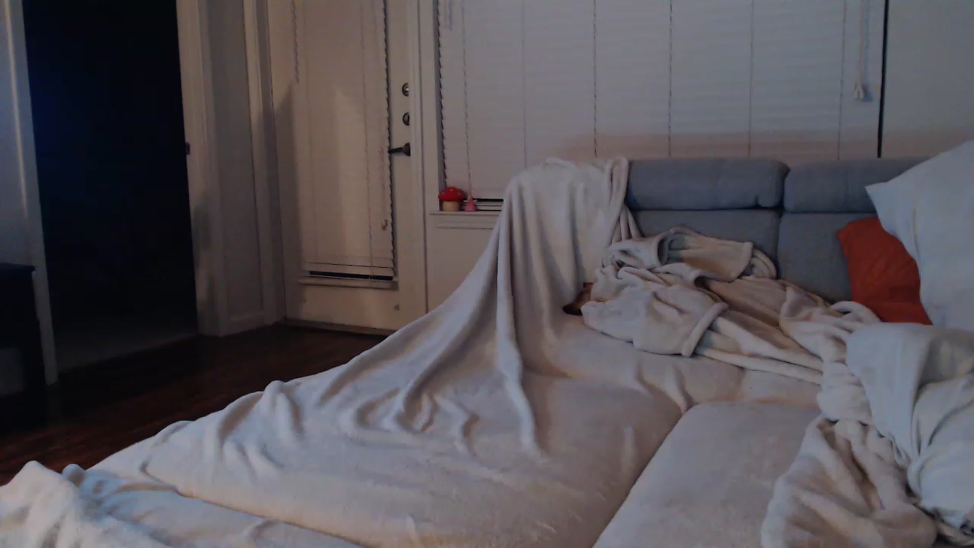 Gallery image thumbnail from RileyTate's myfreecams stream on, 01/09/2023, 07:27 image 4 of 20