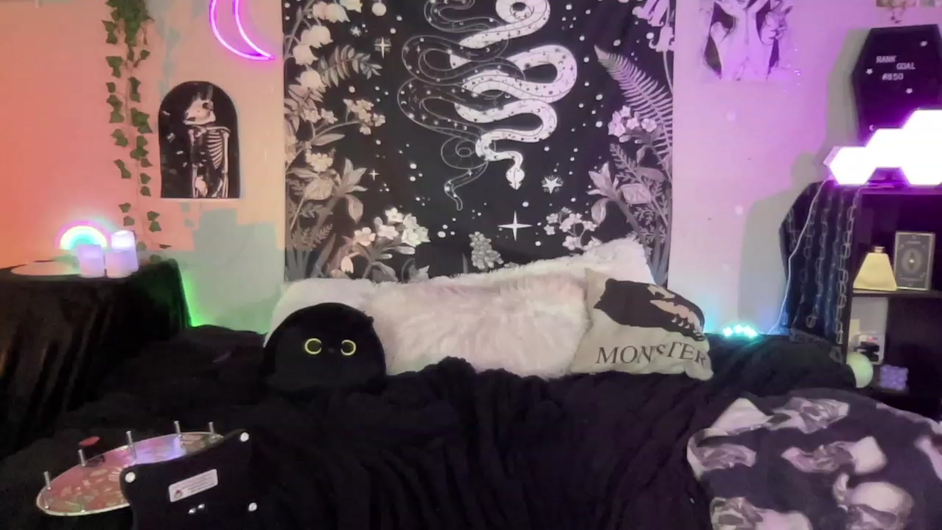 Gallery image thumbnail from RileyWoods's myfreecams stream on, 02/05/2023, 03:27 image 19 of 20