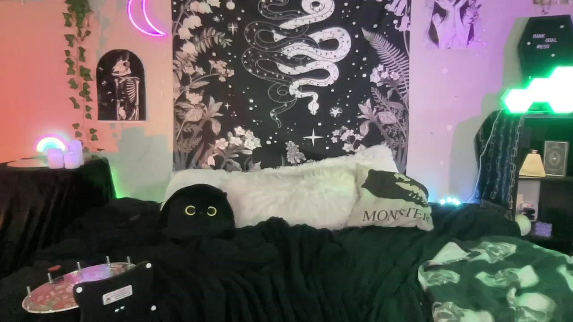Gallery image thumbnail from RileyWoods's myfreecams stream on, 02/05/2023, 03:27 image 20 of 20