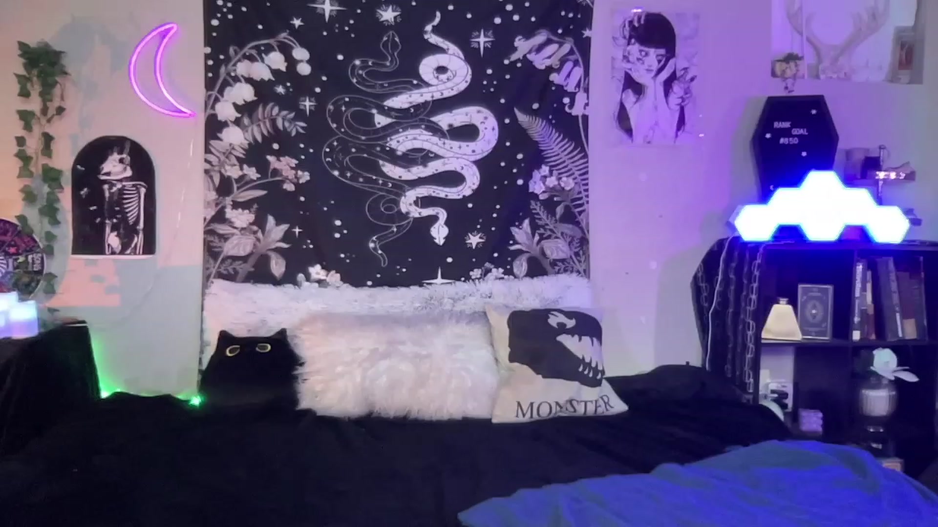 Gallery image thumbnail from RileyWoods's myfreecams stream on, 02/07/2023, 03:43 image 6 of 20