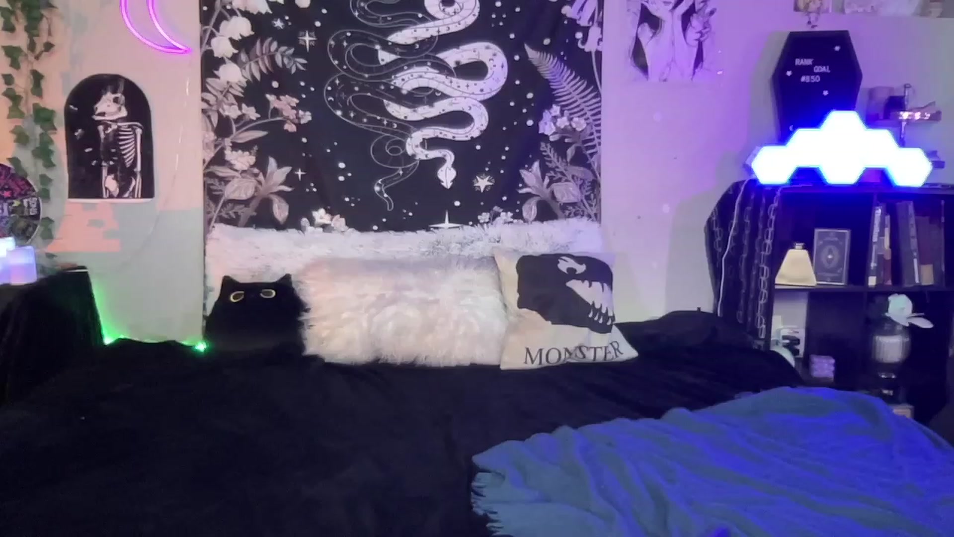 Gallery image thumbnail from RileyWoods's myfreecams stream on, 02/07/2023, 03:43 image 4 of 20