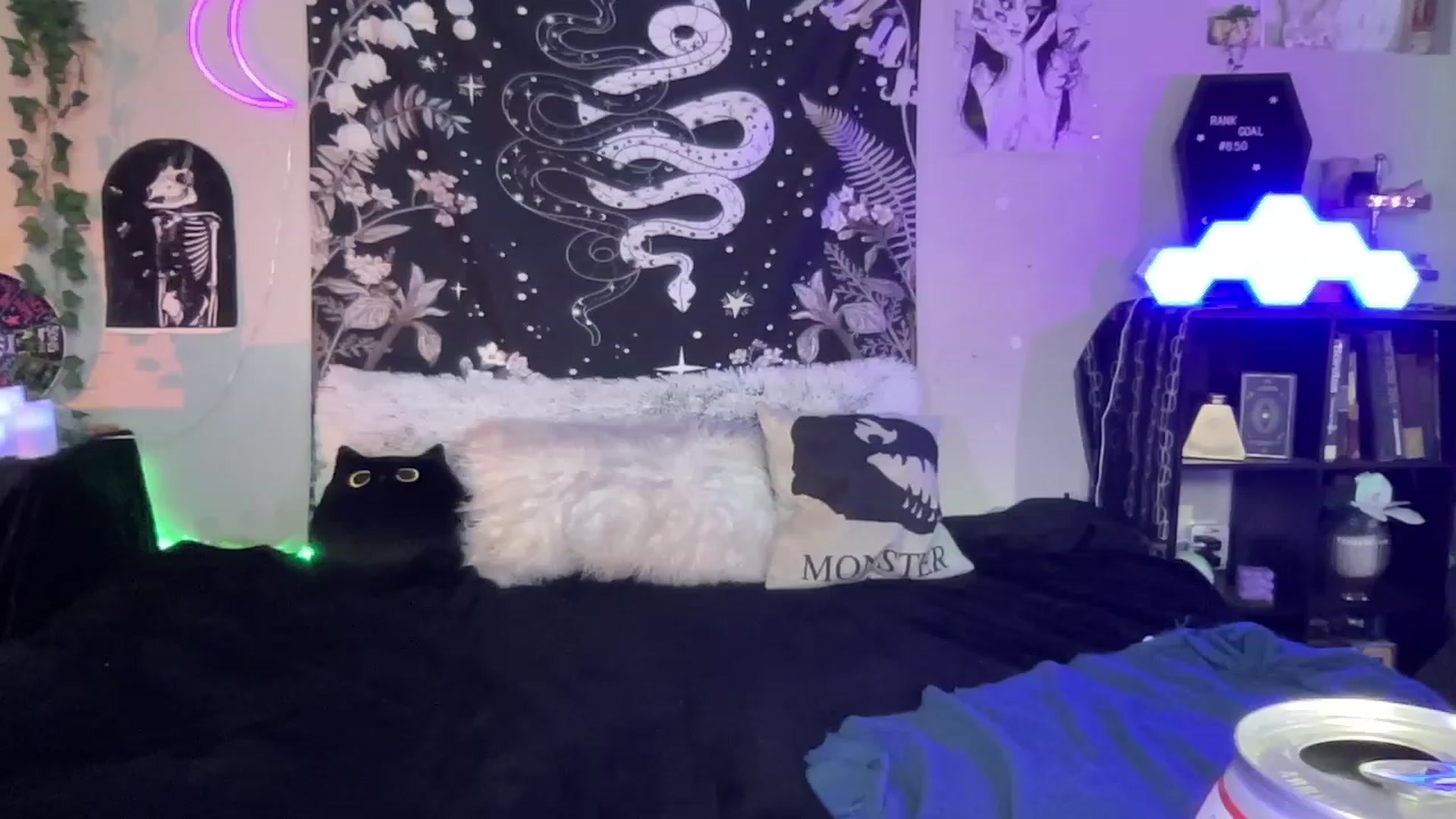 Gallery image thumbnail from RileyWoods's myfreecams stream on, 02/07/2023, 03:43 image 10 of 20