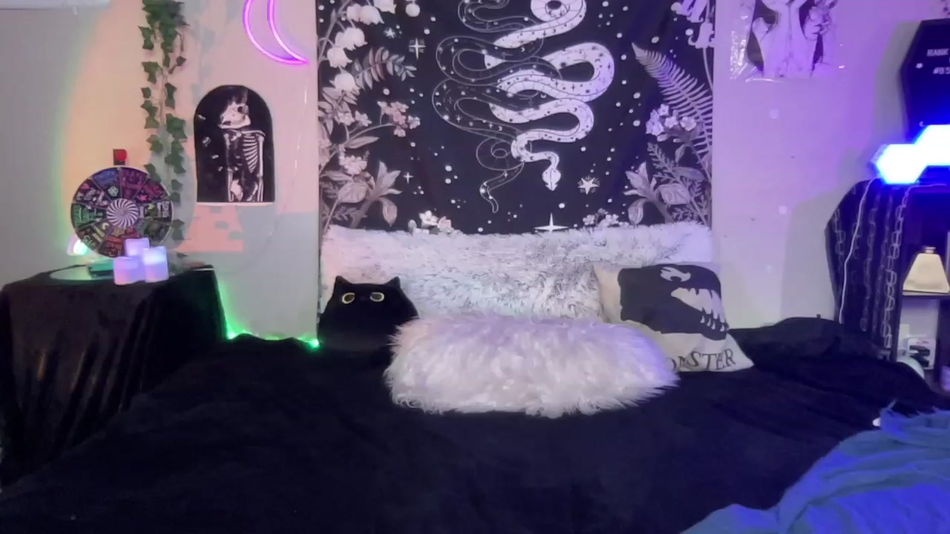 Gallery image thumbnail from RileyWoods's myfreecams stream on, 02/07/2023, 03:43 image 15 of 20